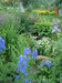 цветник у пруда